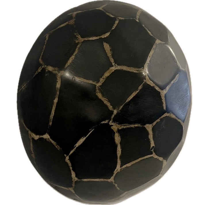 Abstract Turtle Sand Dollar