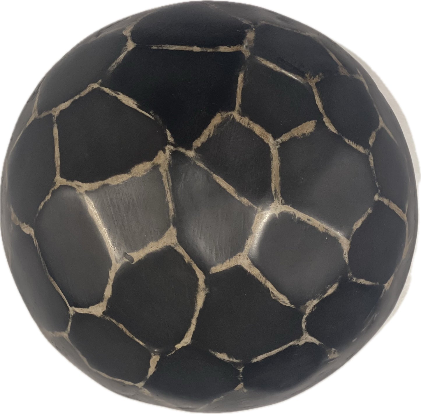 Abstract Turtle Sand Dollar